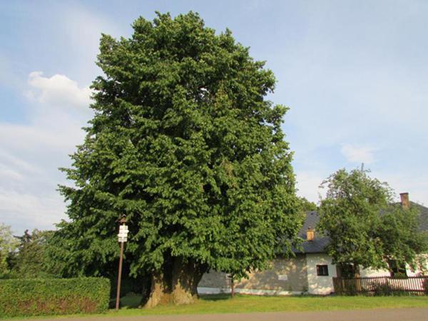 Penzion Pastviny Exterior photo